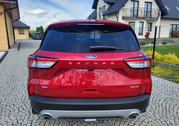 Ford Kuga cena 81999 przebieg: 18000, rok produkcji 2022 z Tarnów małe 631